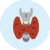 Thyroid Test Packages