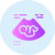 Ultrasound Scan